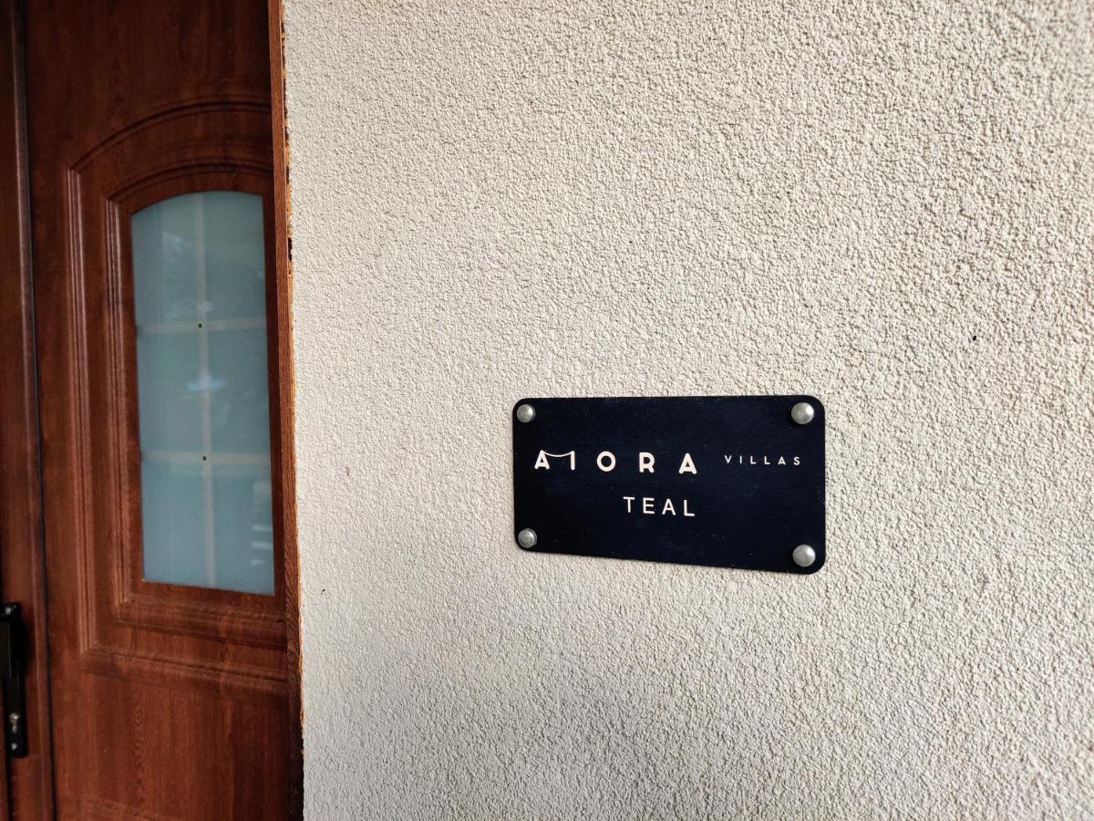 Aiora * Amoliani